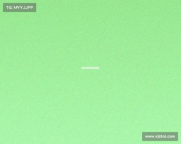 《学业峡谷间的电竞少年》